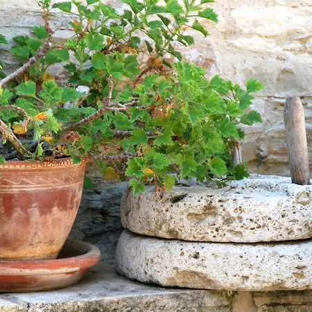Ξενοδοχείο Rustic Retreat