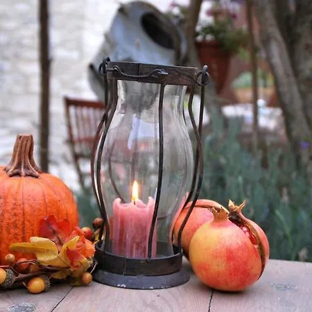 Rustic Retreat Βάβλα
