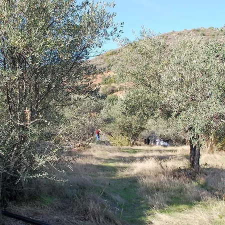 Rustic Retreat Country house Vavla