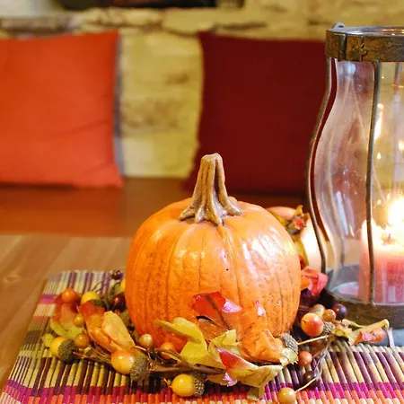 Rustic Retreat
