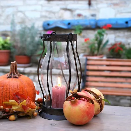 Rustic Retreat