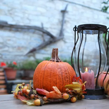 Rustic Retreat * Vavla