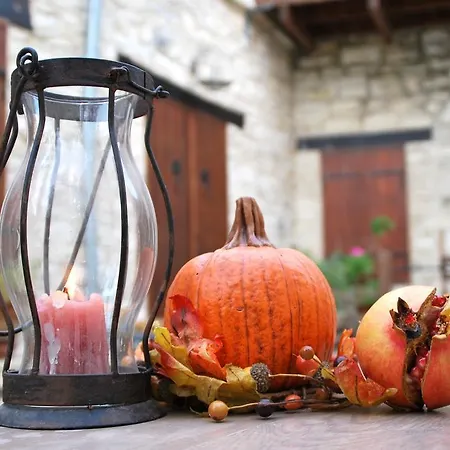 Rustic Retreat *
