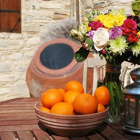 Rustic Retreat Country house Vavla