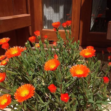 Rustic Retreat Hotel Vavla